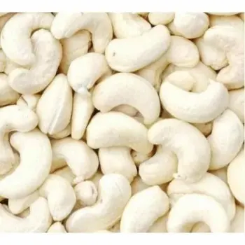Fresh W180 Cashew Nuts